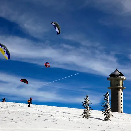 Schneelehner, 2-schlafzimmer, Feldberg